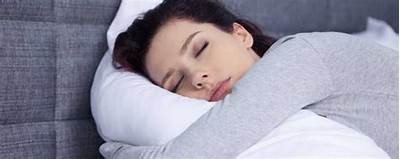 狗变成人偶动漫免费在线观看