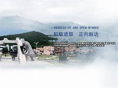 国产成人免费视频A级观看指南