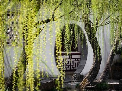 成人免费公开精选图片集