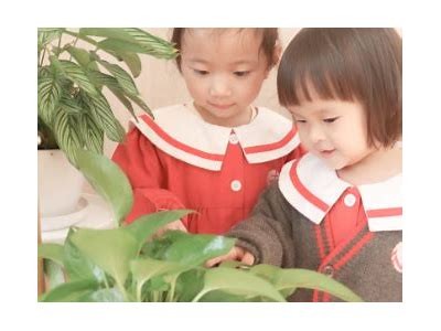 合川成人免费保育员服务