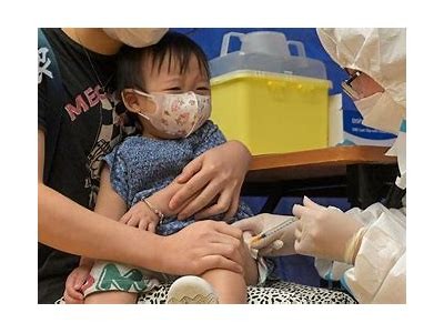 成人卡介苗免费接种政策解读
