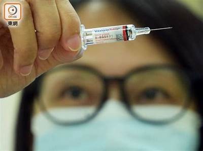 成人免费乙肝疫苗有必要接种吗？了解其关键性与适用人群
